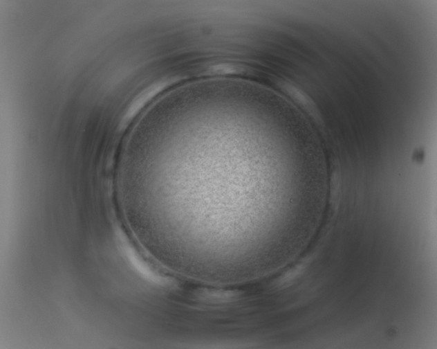 X0000114141039200910151604