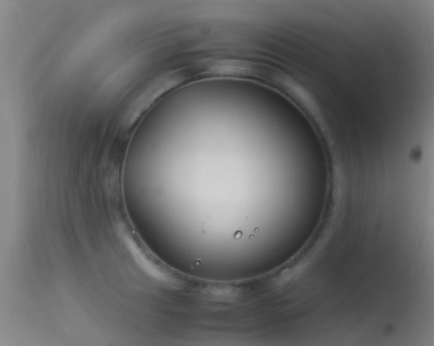 X0000114141041200910151604