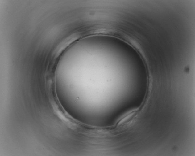 X0000114141042200910151604