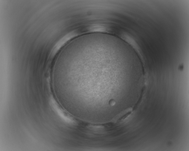 X0000114141043200910151604