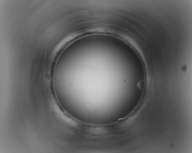 X0000114141045200910151604