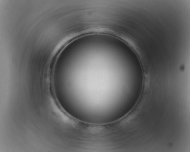 X0000114141046200910151604