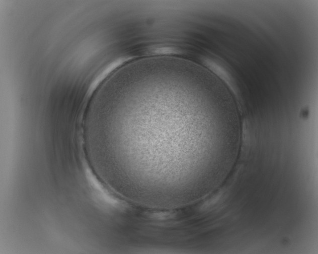 X0000114141047200910151604