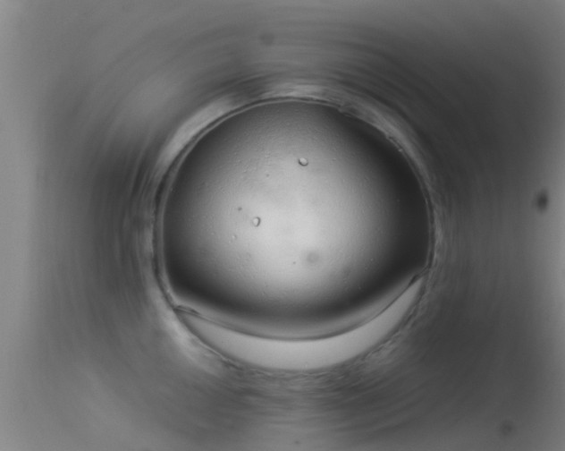 X0000114141050200910151605