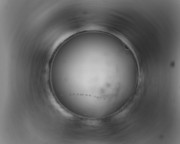 X0000114141053200910151605