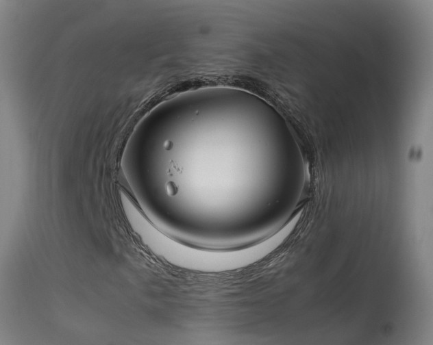 X0000114141057200910151604