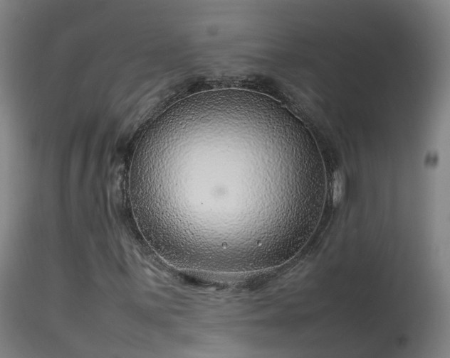 X0000114141059200910151604