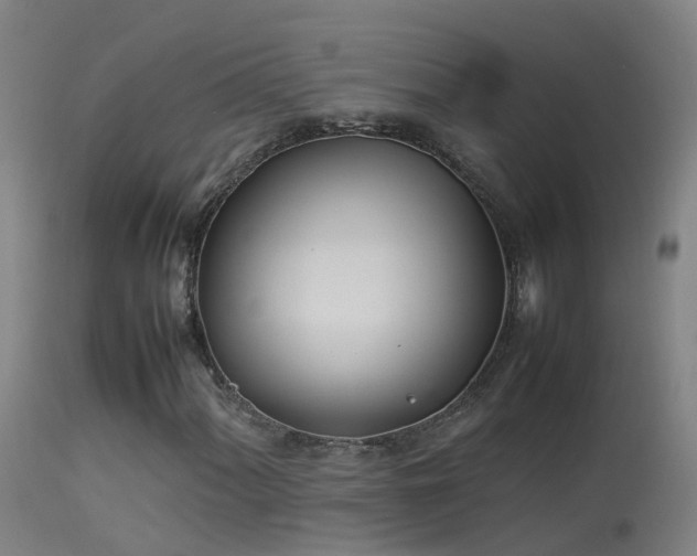 X0000114141060200910151604