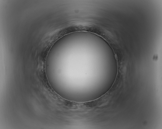 X0000114141061200910151604