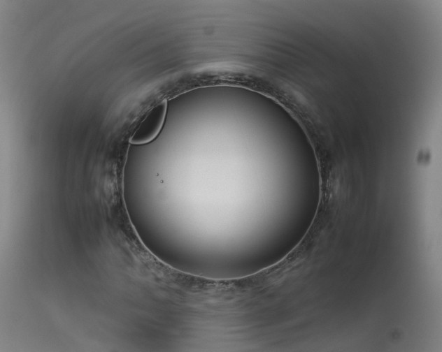 X0000114141062200910151604