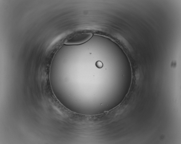 X0000114141064200910151604