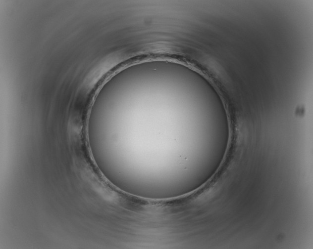 X0000114141065200910151604