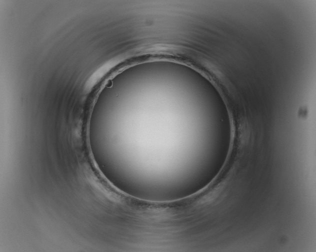 X0000114141066200910151604