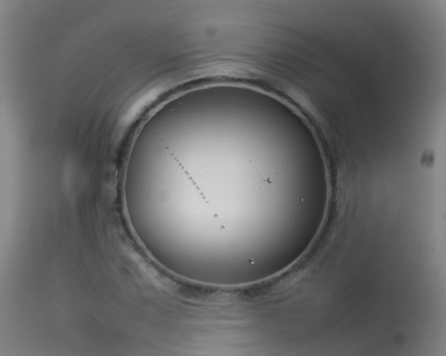 X0000114141067200910151604