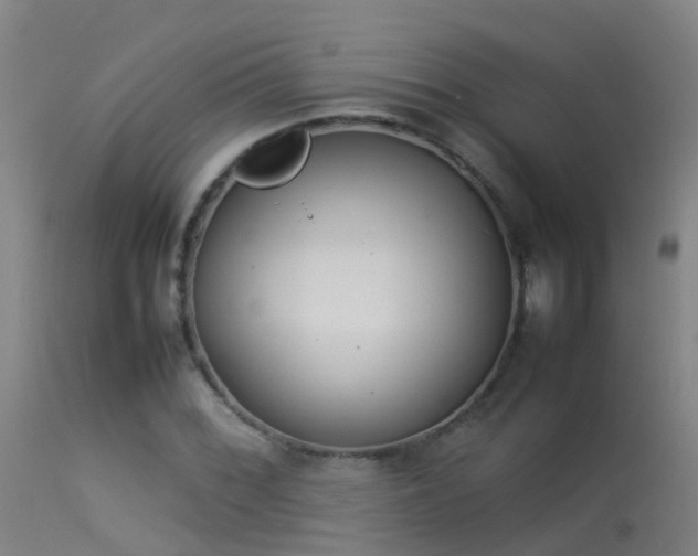 X0000114141068200910151604