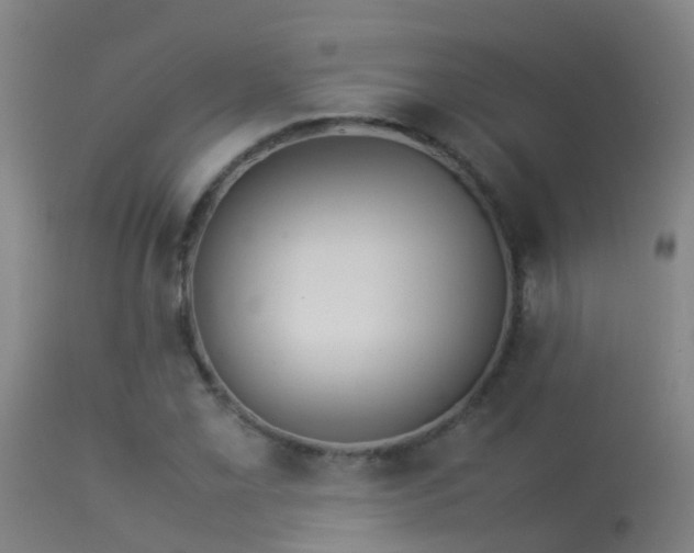 X0000114141069200910151604