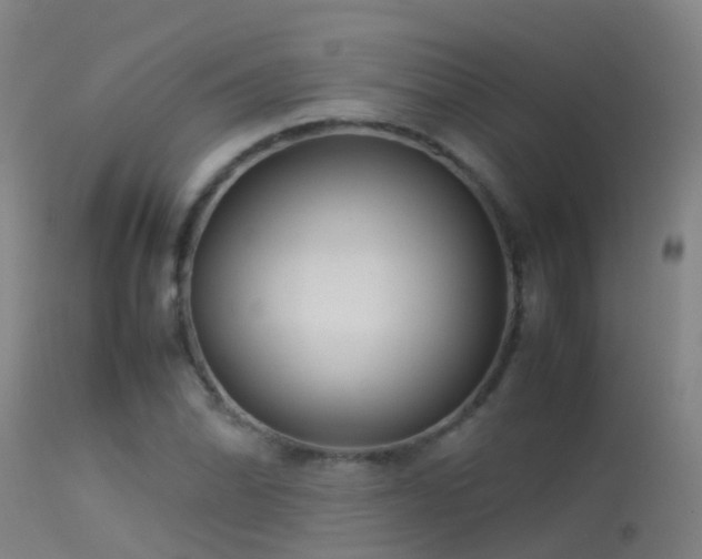 X0000114141070200910151604