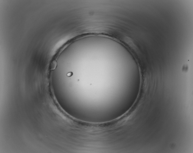 X0000114141071200910151604