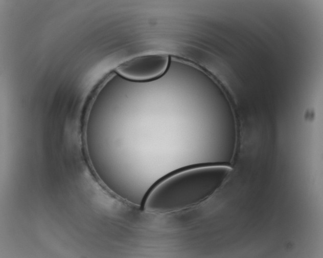 X0000114141072200910151604