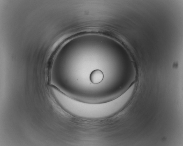 X0000114141075200910151604