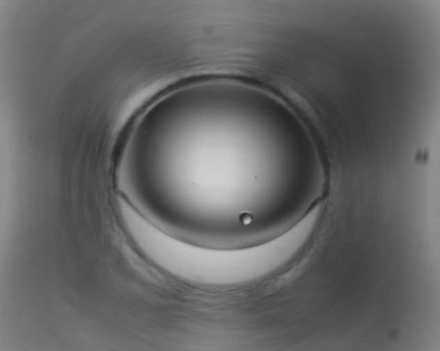 X0000114141077200910151603