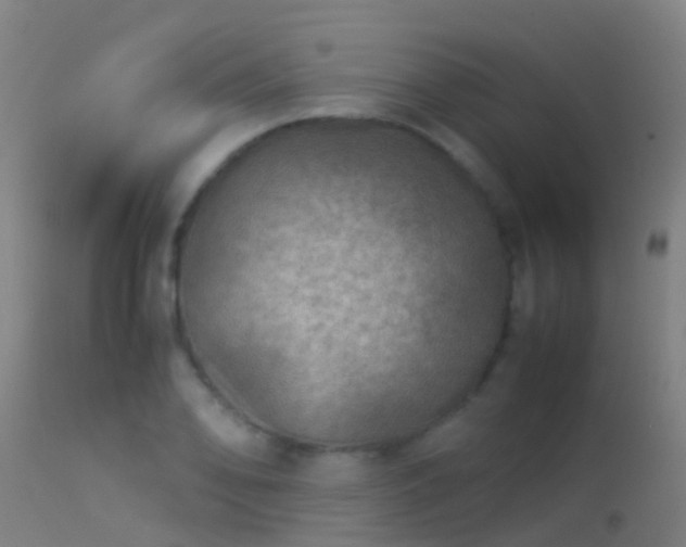 X0000114141078200910151603