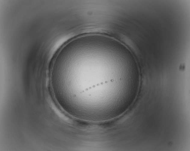 X0000114141079200910151603