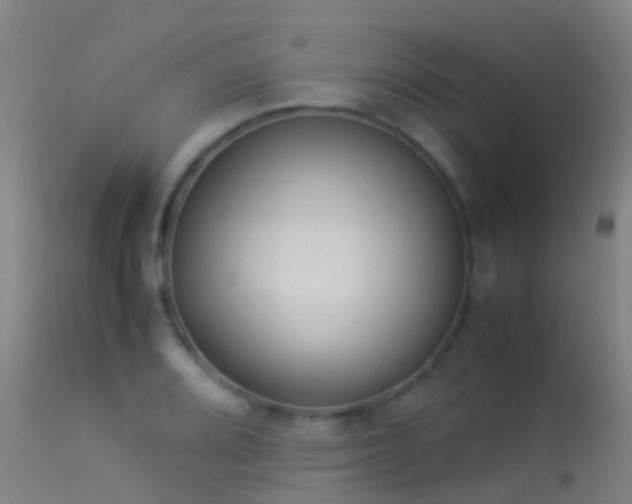 X0000114141080200910151603