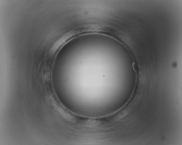 X0000114141081200910151603