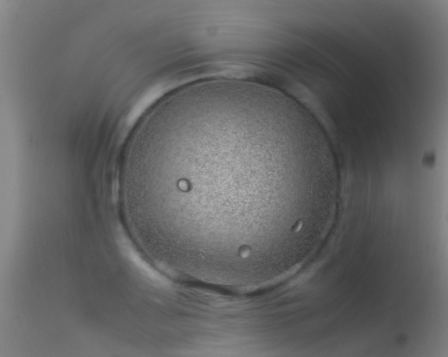 X0000114141083200910151603