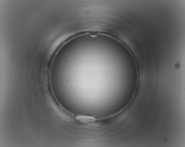 X0000114141085200910151603