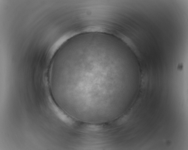 X0000114141086200910151603