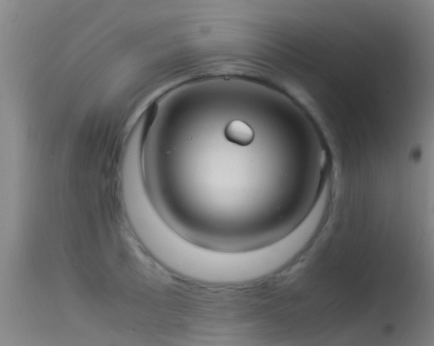 X0000114141089200910151603