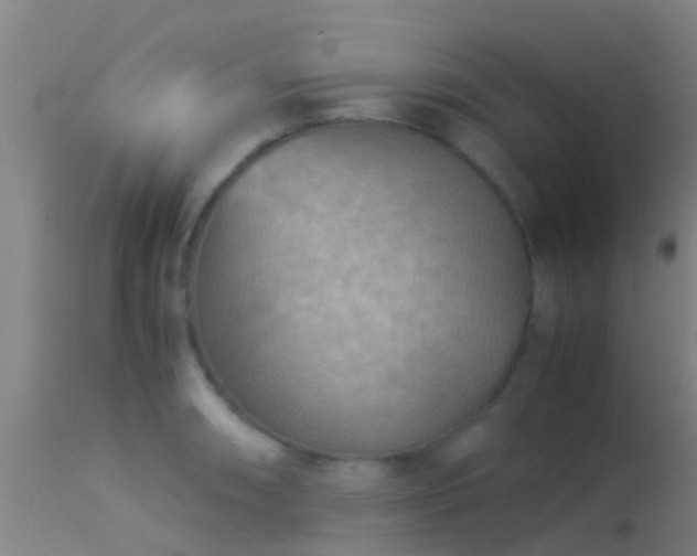 X0000114141090200910151603