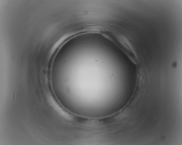 X0000114141091200910151603