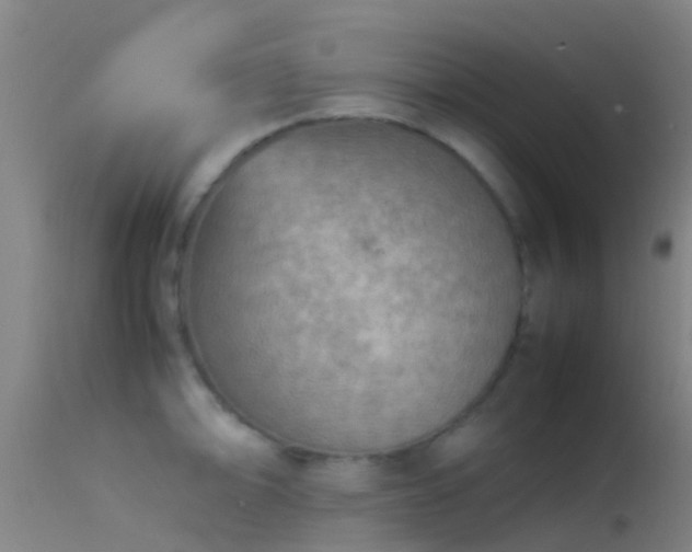 X0000114141094200910151603