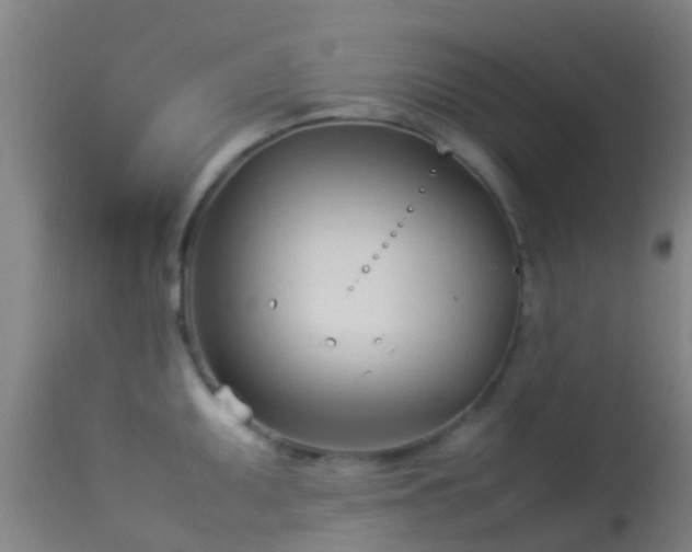 X0000114141095200910151603