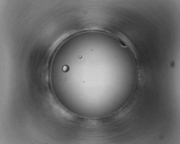 X0000114141096200910151603