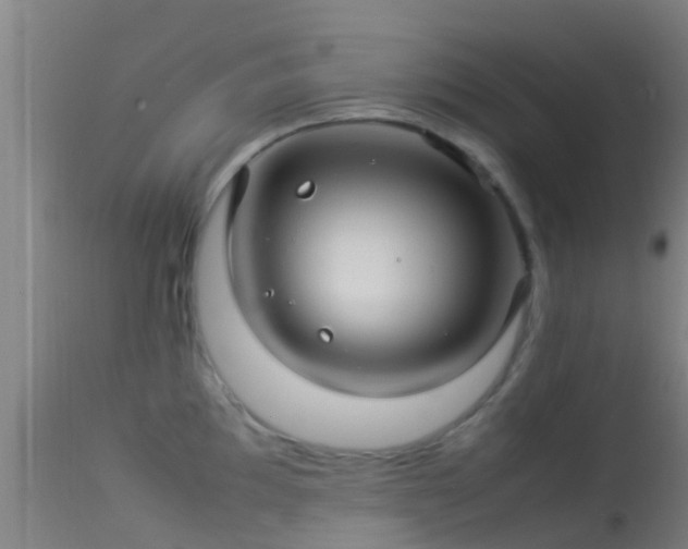 X0000114141097200910151603