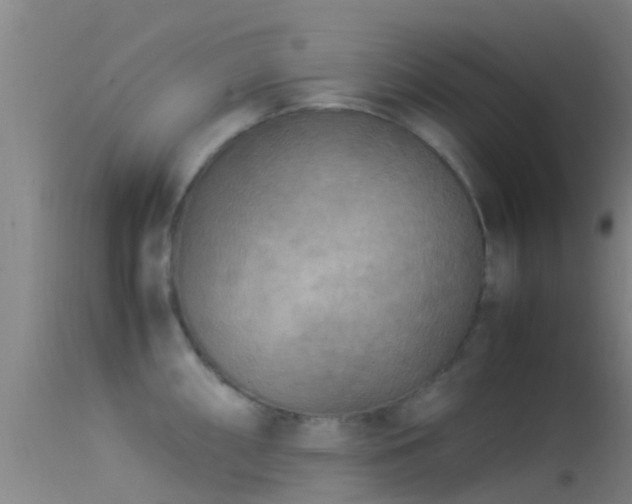 X0000114141098200910151603