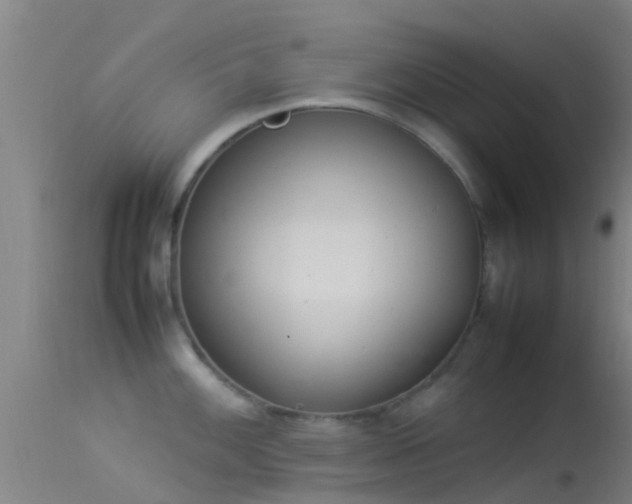 X0000114141100200910151603