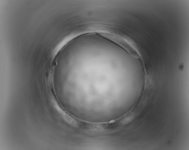 X0000114141101200910151603