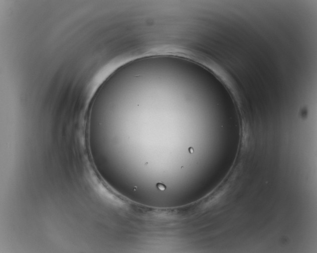 X0000114141102200910151603