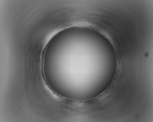 X0000114141103200910151603