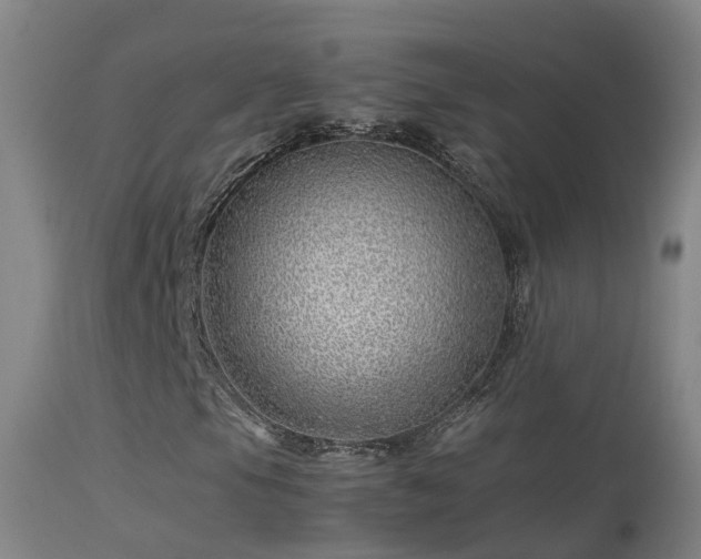 X0000114141105200910151602