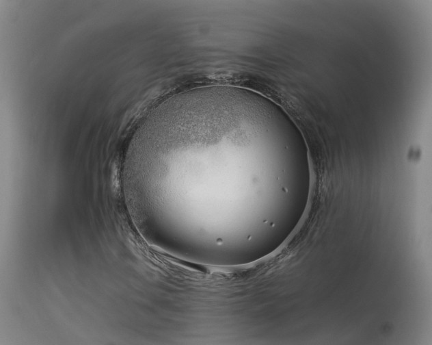 X0000114141106200910151602