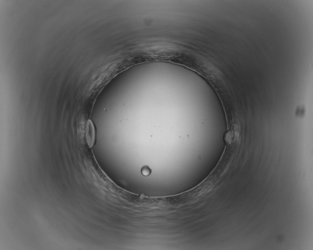 X0000114141108200910151602