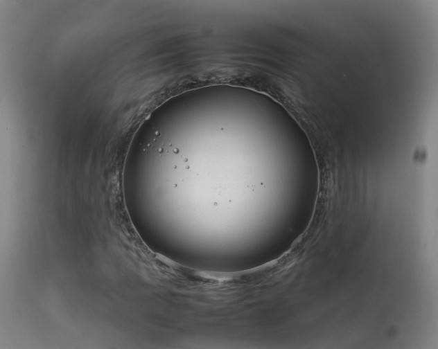 X0000114141109200910151602