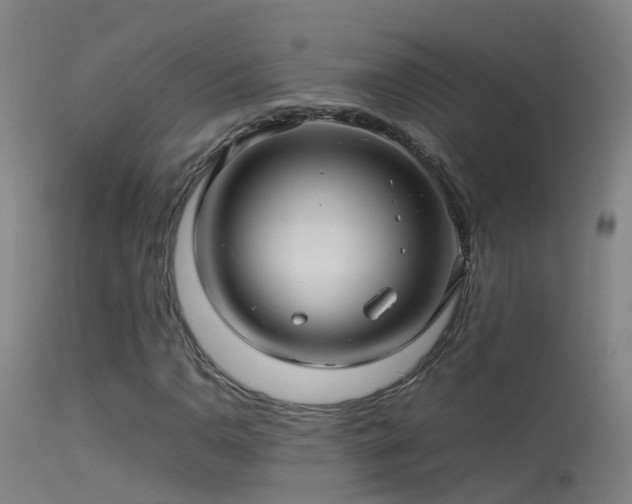 X0000114141110200910151602