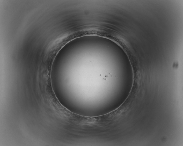 X0000114141111200910151602